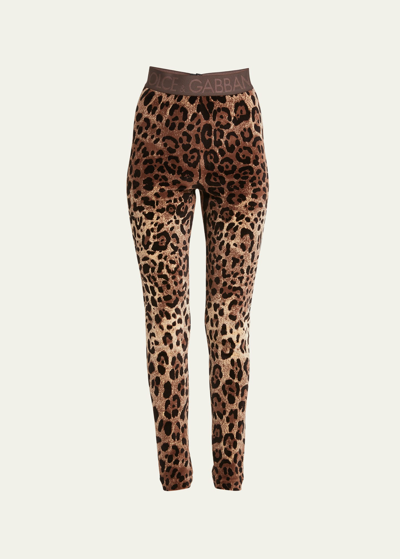 Shop Dolce & Gabbana Leopard Print Jacquard Chenille Leggings In Print Leo