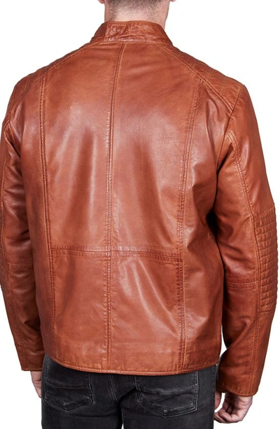 Shop Missani Le Collezioni Lamb Leather Moto Jacket In Cognac