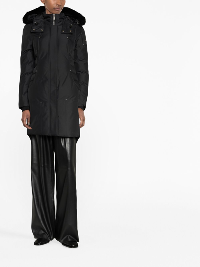 Moose Knuckles Cloud Hooded Parka Coat In Black