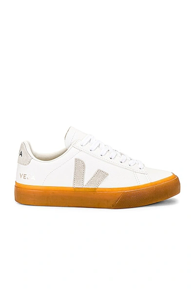 Shop Veja Campo Sneaker In Extra White  Natural Natural