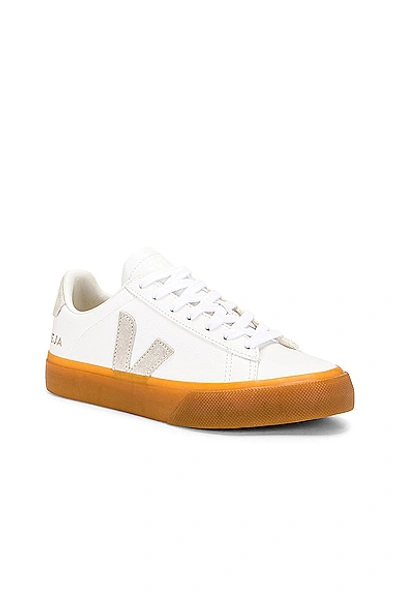 Shop Veja Campo Sneaker In Extra White  Natural Natural