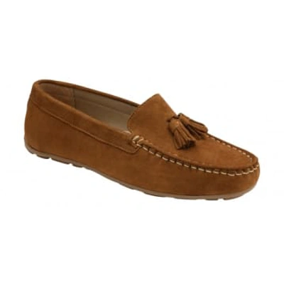 Shop Ravel Bute Loafer In Tan In Neutrals
