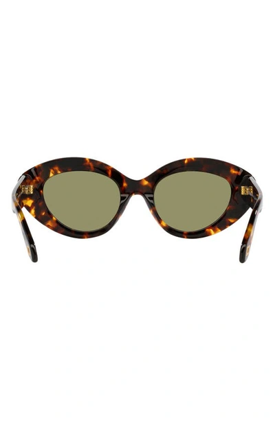 Shop Armani Exchange 50mm Gradient Small Cat Eye Sunglasses In Blonde Havana