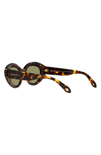 Shop Armani Exchange 50mm Gradient Small Cat Eye Sunglasses In Blonde Havana