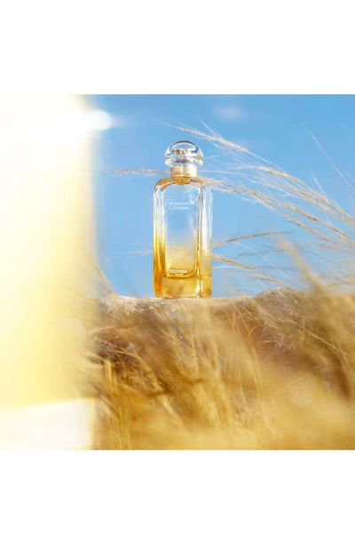 Hermes Hermès Un Jardin À Cythère