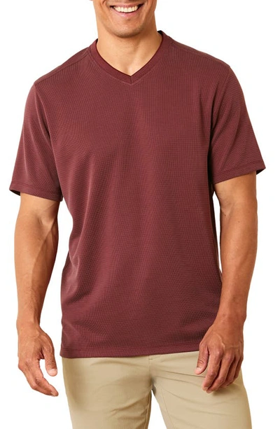 Shop Tommy Bahama Coastal Crest Islandzone® V-neck T-shirt In Pinot Noir