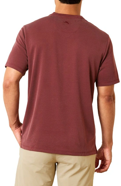Shop Tommy Bahama Coastal Crest Islandzone® V-neck T-shirt In Pinot Noir