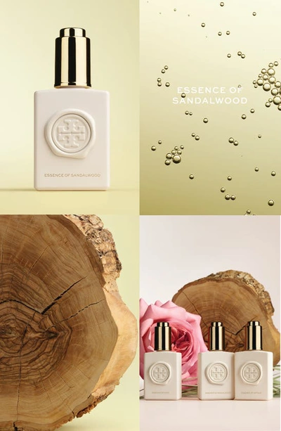 Shop Tory Burch Essence Of Dreams Layering Oil Essence Of Sandalwood, 0.47 oz