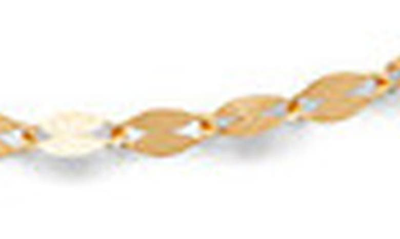 Shop Lana Blake Chain Necklace Extender In Yellow Gold