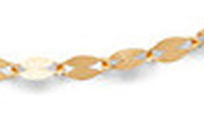 Lana 2" Chain Extender In 14k Yellow Gold In Yellow Gold