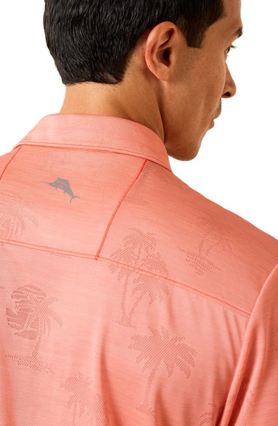 Tommy Bahama Palm Coast Palmera Islandzone® Recycled Polyester Polo In Shellrossa
