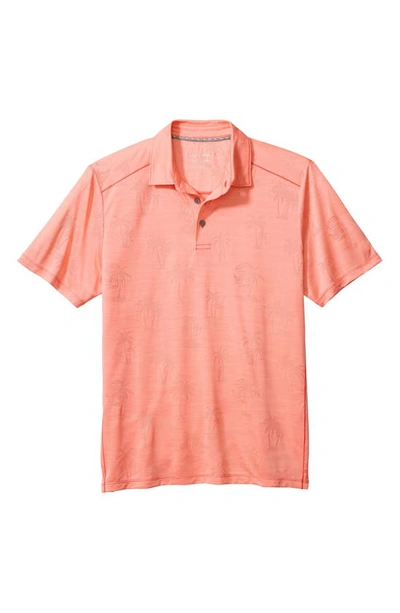 Tommy Bahama Palm Coast Palmera Islandzone® Recycled Polyester Polo In Shellrossa