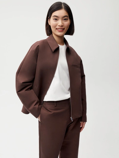Pangaia Chestnut Brown Xs In Chestnut Brown