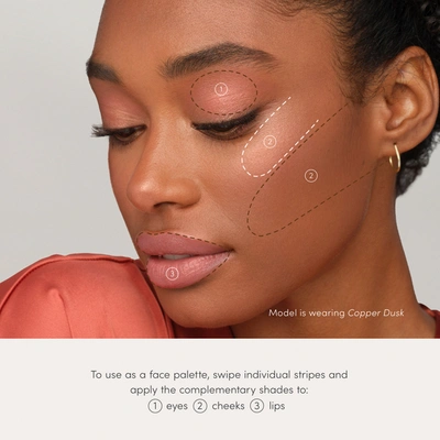 Jane Iredale Purebronze Shimmer Bronzer Refill In Copper Dusk