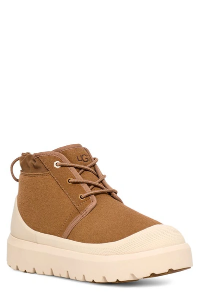 Shop Ugg Neumel Waterproof Hybrid Boot In Chestnut / Whitecap