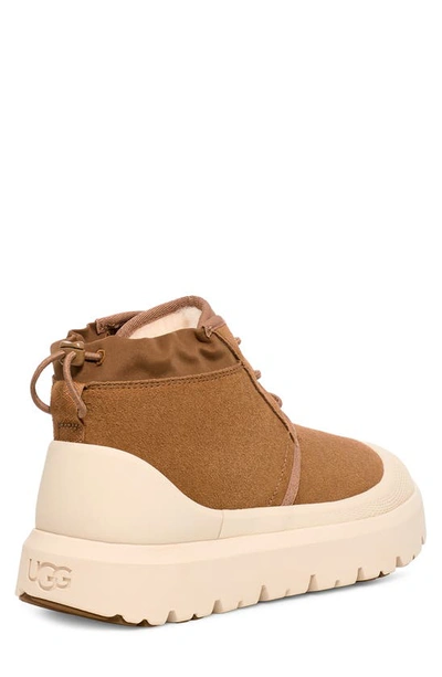 Ugg Neumel Weather Hybrid Chukka Boots In Chestnut / Whitecap