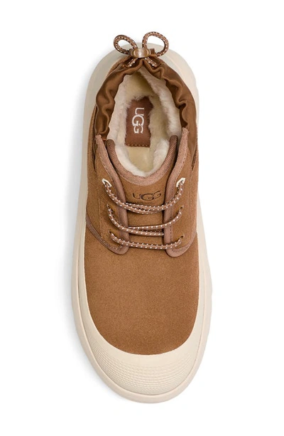 Ugg Neumel Weather Hybrid Chukka Boots In Chestnut / Whitecap