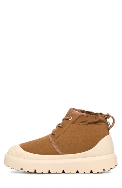 Ugg Neumel Weather Hybrid Chukka Boots In Chestnut / Whitecap