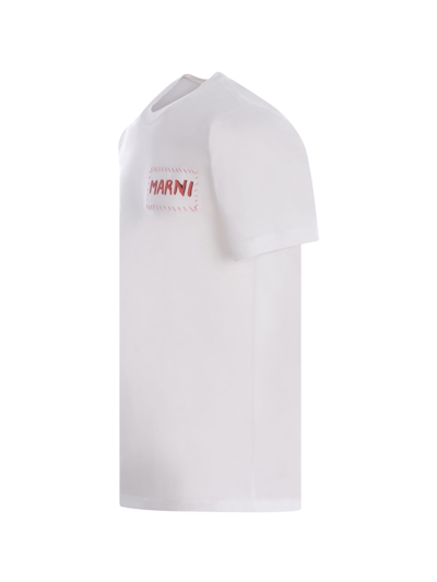 Shop Marni T-shirt  In Cotton In Bianco