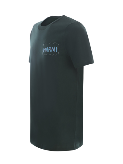 Shop Marni T-shirt  In Cotton In Verde Scuro
