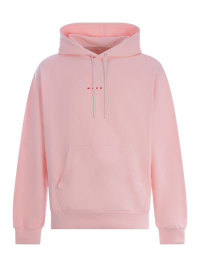 Shop Marni Hooded Sweatshirt  In Cotton In Rosa