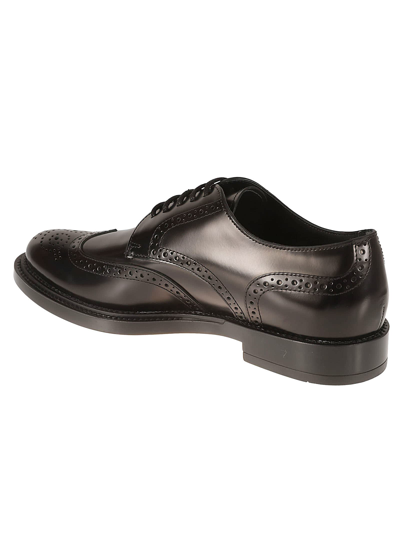 Shop Tod's Bucature Laced Derby Shoes In Black