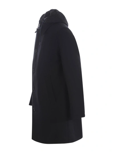 Herno Coat  In Wool In Blue