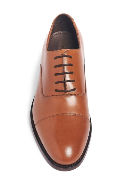 Anthony Veer Clinton Cap-toe Oxfords In Multi