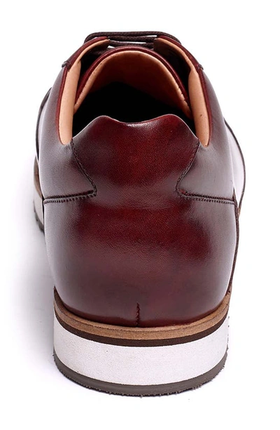 Anthony Veer Barack Court Sneaker In Burgundy