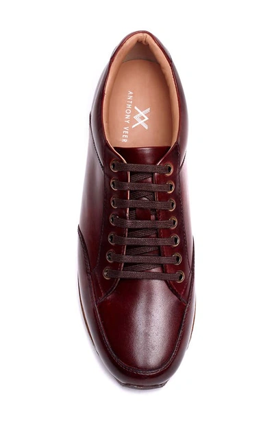Anthony Veer Barack Court Sneaker In Burgundy