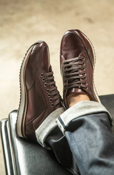 Anthony Veer Barack Court Sneaker In Burgundy