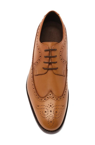 Shop Anthony Veer Regan Wingtip Derby In Walnut