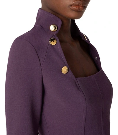 Shop Elisabetta Franchi Purple Dress With Buttons In Violet