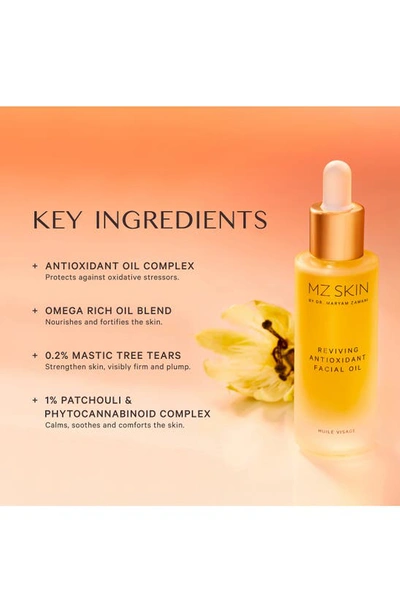 Shop Mz Skin Reviving Antioxidant Facial Oil, 1.01 oz