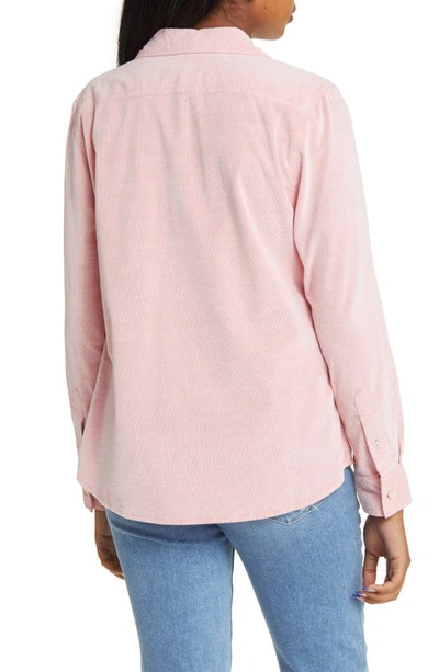 Shop Tommy Bahama Corduroy Shirt In Pure Coral