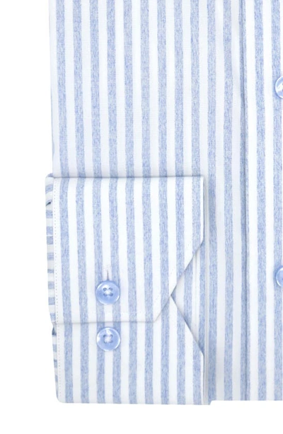 Shop Lorenzo Uomo Trim Fit Stripe Dress Shirt In White/ Light Blue