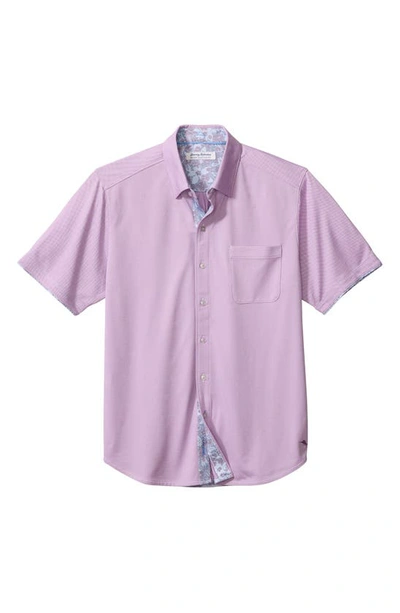 Shop Tommy Bahama San Lucio Short Sleeve Button-up Shirt In Wild Petunia