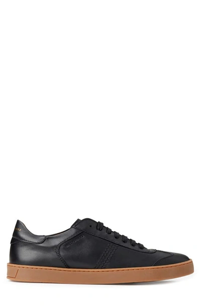 Shop Bruno Magli Bono Sneaker In Black/ Black