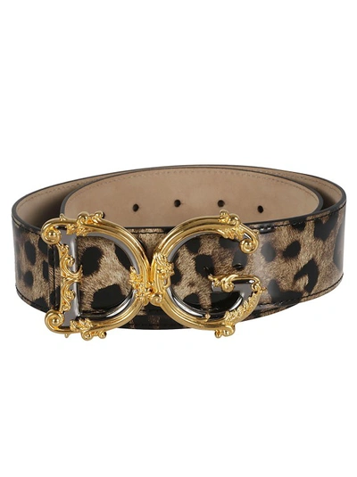 Shop Dolce & Gabbana Logo-plaque Leopard-print Belt In Brown