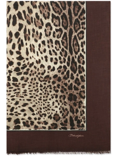 Shop Dolce & Gabbana Brown Leopard Print Scarf