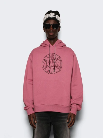 Shop Marni Pink Hooded Sweatshirt