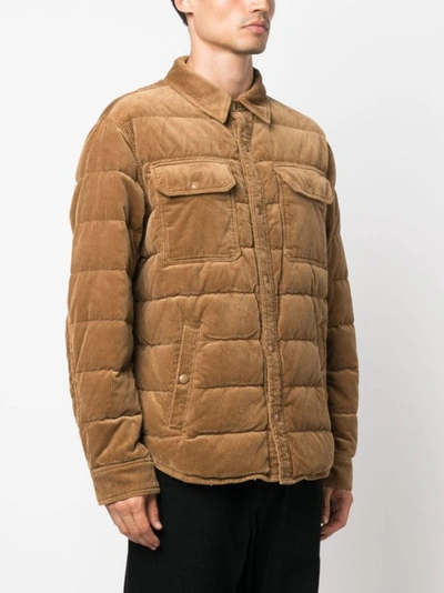 Shop Polo Ralph Lauren Brown Quilted Parka