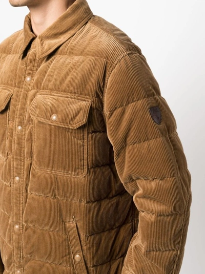Shop Polo Ralph Lauren Brown Quilted Parka