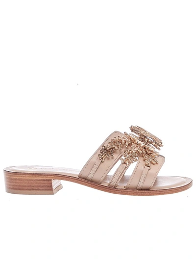 Shop Paola Fiorenza Corals And Bronze Starfish Slipper In Neutrals