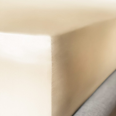 Shop Mayfairsilk Champagne Pure Silk Fitted Sheet In Neutrals
