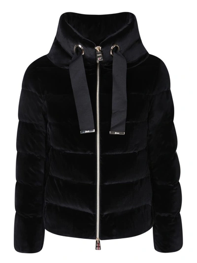 Shop Herno Black Short Velvet Down Jacket