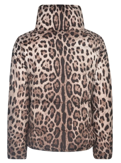 Shop Dolce & Gabbana Leopard-print Padded Jacket In Brown