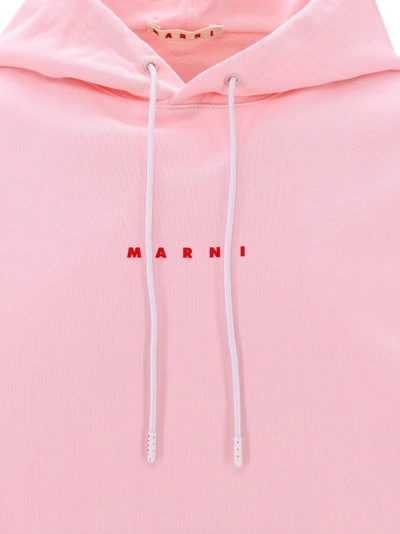 Shop Marni Cotton Sweatshirt With Frontal Print In Pink