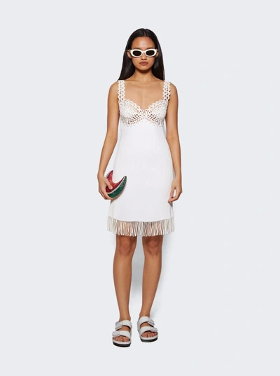 Shop Proenza Schouler Rib Knit Lace Dress In White