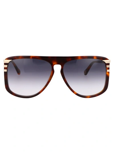 Shop Chloé Ch0104s In Brown